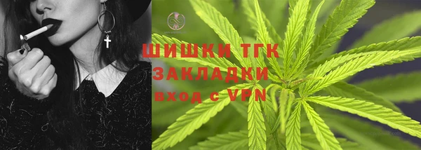 mdpv Инсар