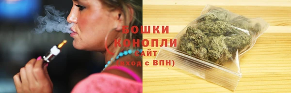 mdpv Инсар